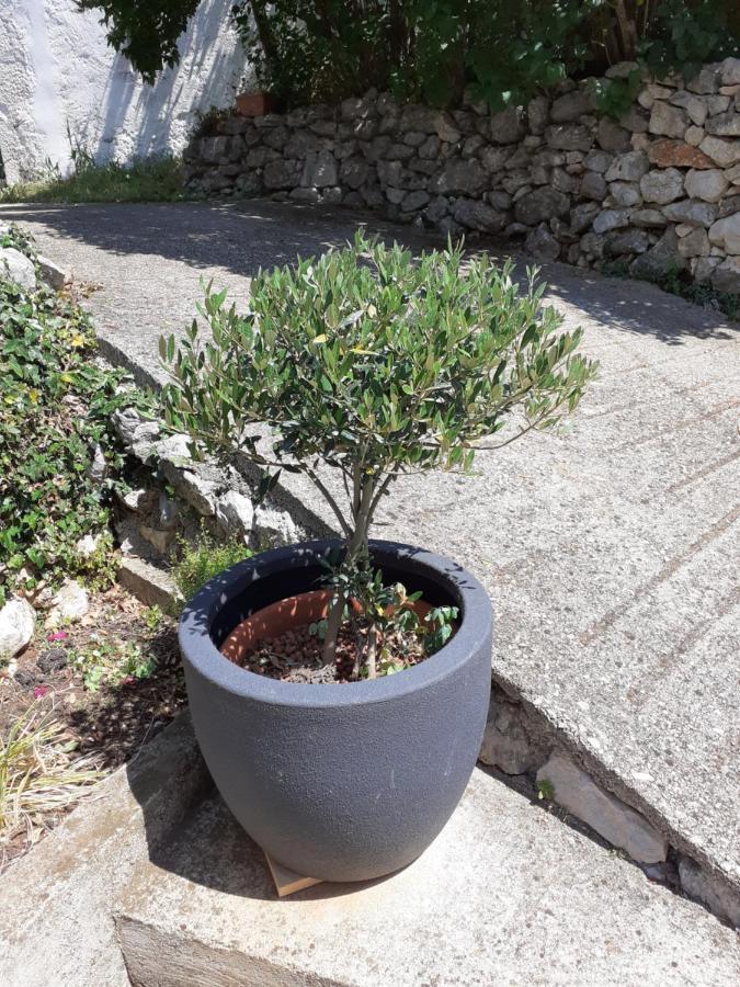 Apartman Danijela Zagorje Extérieur photo