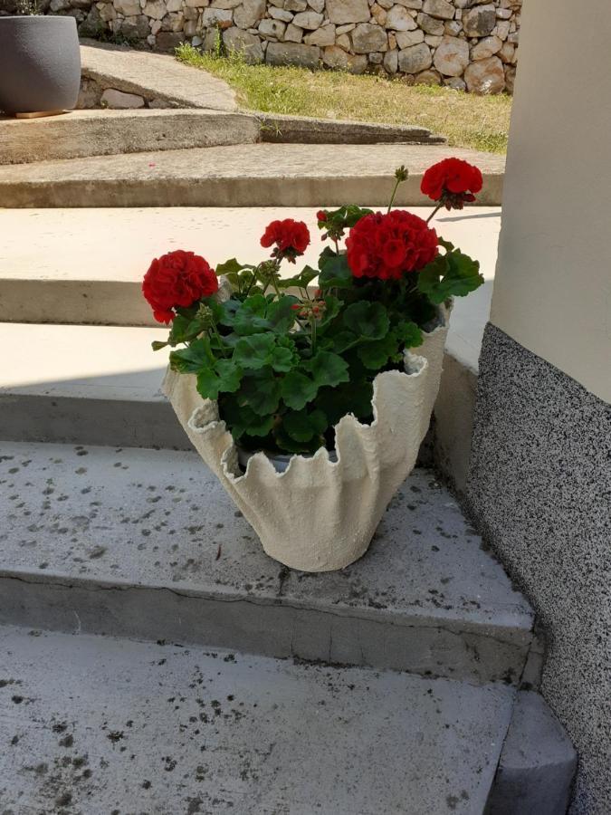 Apartman Danijela Zagorje Extérieur photo