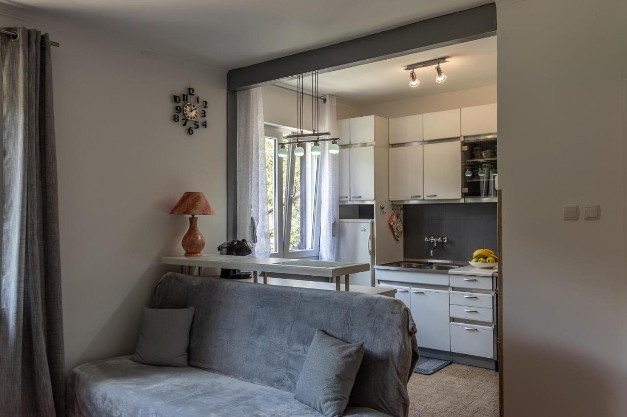 Apartman Danijela Zagorje Extérieur photo