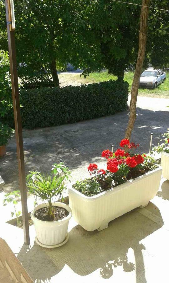 Apartman Danijela Zagorje Extérieur photo