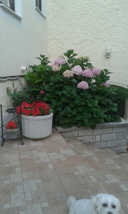 Apartman Danijela Zagorje Extérieur photo